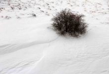 گزارش تصویری از یک روز برفی در شاهرود